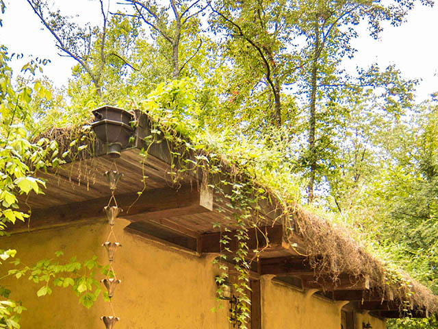 makanda inn cottage living roof