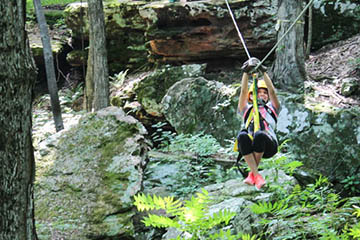 zipline in forest